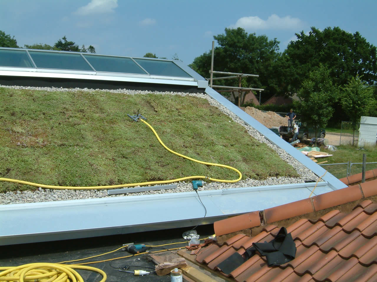 Sedum Roof